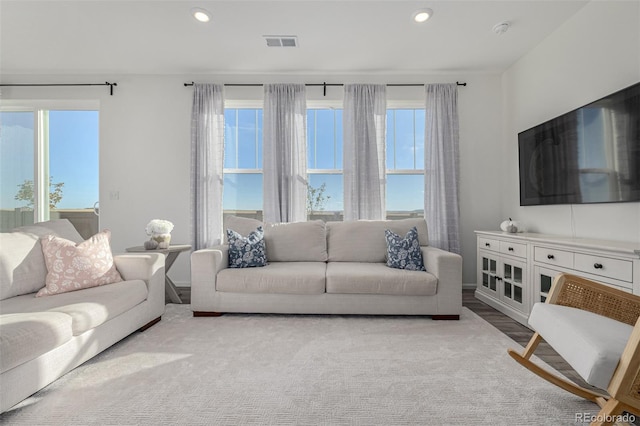 carpeted living room with plenty of natural light