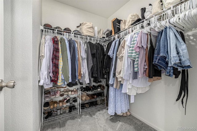 walk in closet featuring carpet flooring