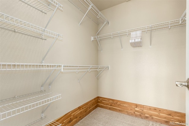 spacious closet with carpet