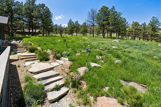 3021 N Lakeridge Trl, Boulder, CO 80302 - photo 37
