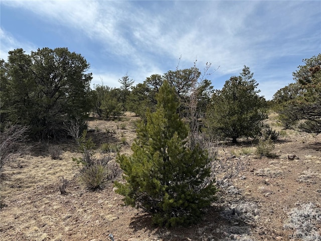 673 Hidden Valley Rd, South Fork, CO 81154