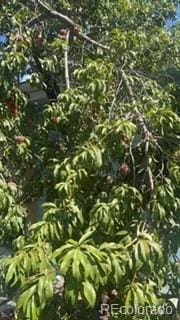 160 Utica St, Denver, CO 80219 - view of local wilderness