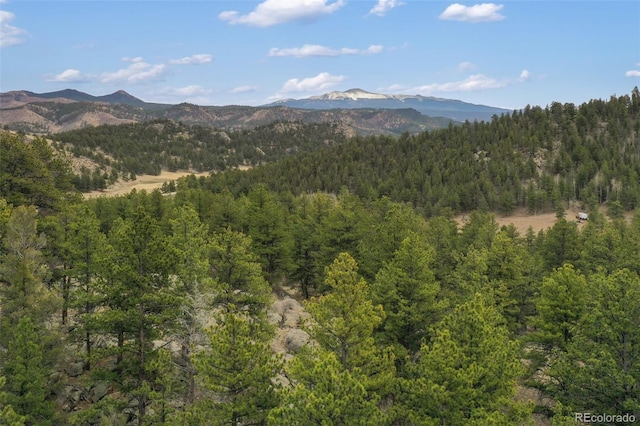 mountain view with a forest view