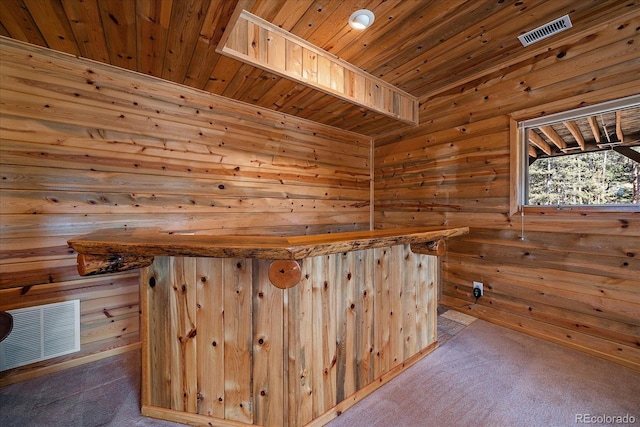 bar with carpet floors, wooden ceiling, visible vents, and a sauna