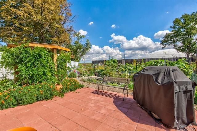 view of patio / terrace with area for grilling