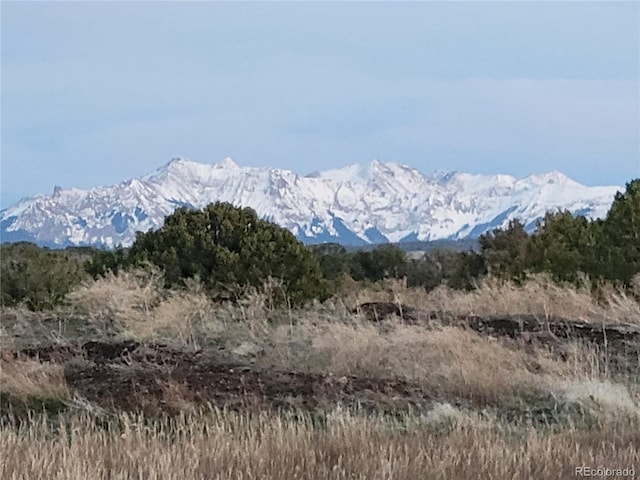 V44 Rd, Norwood, CO 81423