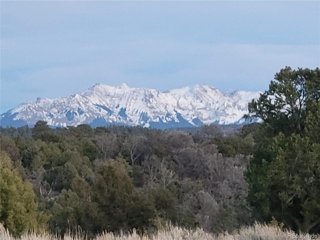 V44 Rd, Norwood, CO 81423