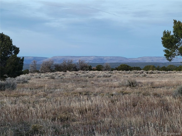 V44 Rd, Norwood, CO 81423
