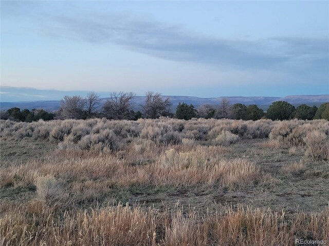 V44 Rd, Norwood, CO 81423