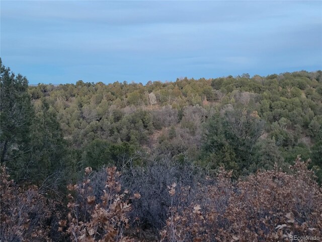 V44 Rd, Norwood, CO 81423