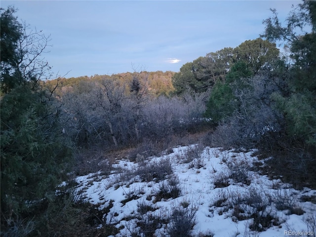 V44 Rd, Norwood, CO 81423