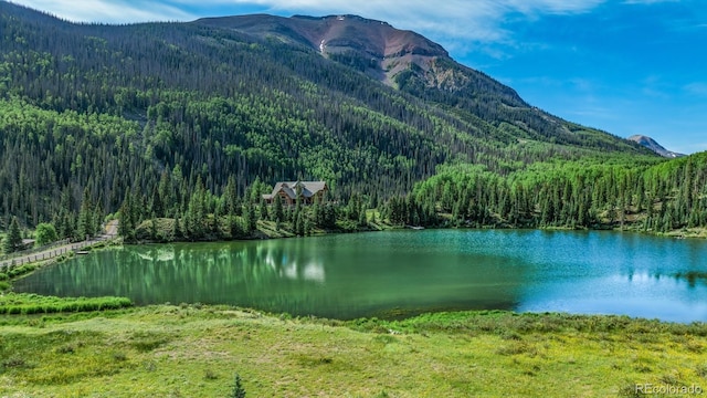 2418 Forest Rd Unit 526, Creede, CO 81130 - photo 42