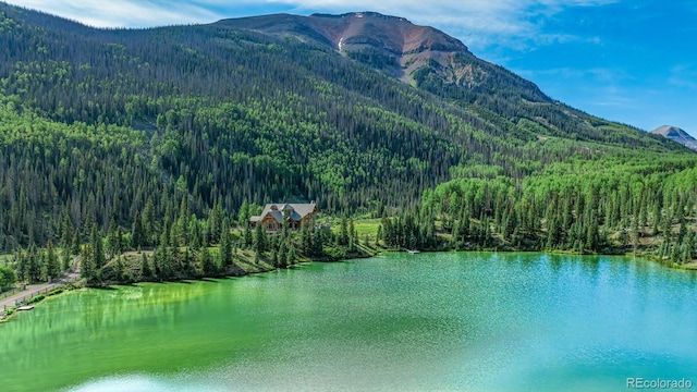 2418 Forest Rd Unit 526, Creede, CO 81130 - photo 46
