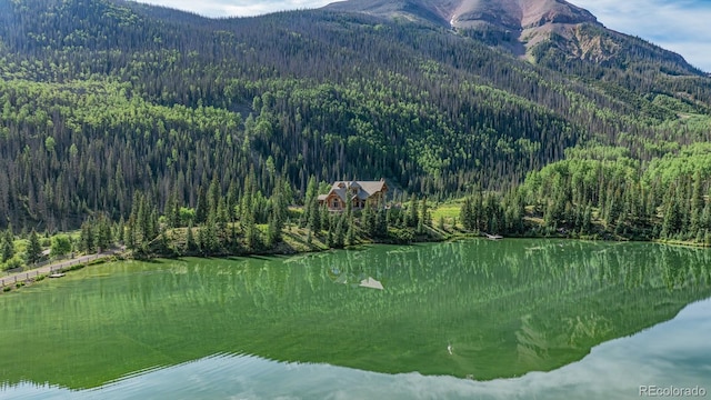 2418 Forest Rd Unit 526, Creede, CO 81130 - photo 49