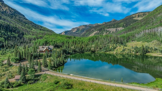 2418 Forest Rd Unit 526, Creede, CO 81130 - photo 50