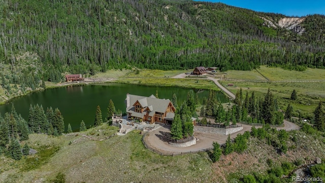 2418 Forest Rd Unit 526, Creede, CO 81130 - photo 1