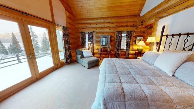 2418 Forest Rd Unit 526, Creede, CO 81130 - photo 13