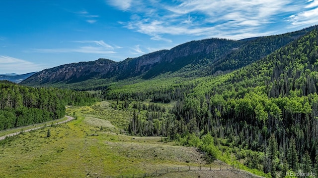 2418 Forest Rd Unit 526, Creede, CO 81130 - photo 23