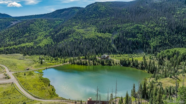 2418 Forest Rd Unit 526, Creede, CO 81130 - photo 24