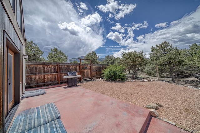 6375 Terrace Ln, Salida, CO 81201 - fenced backyard featuring a grill and a patio