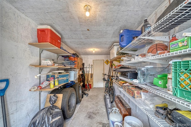 6375 Terrace Ln, Salida, CO 81201 - view of storage area
