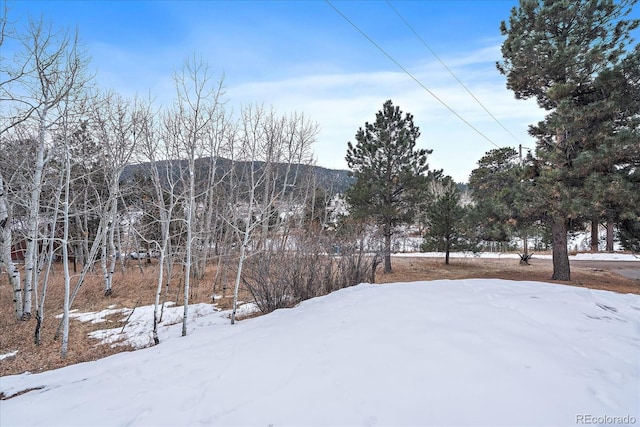 view of yard layered in snow