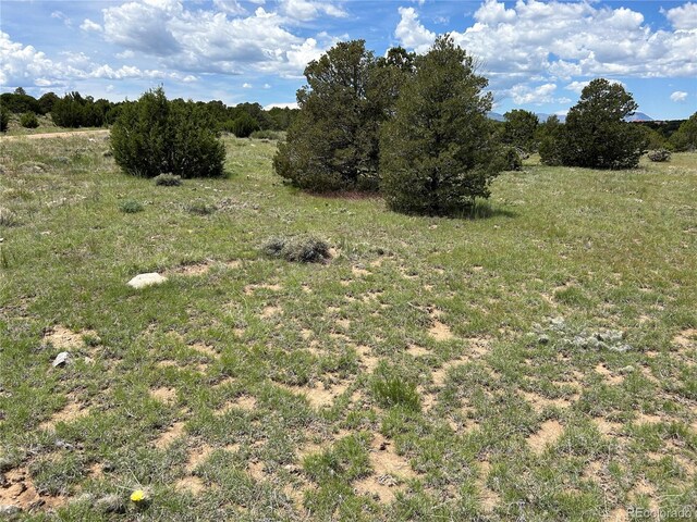 LOT809 Rio, Cucharas Walsenburg, CO 81089 - photo 3