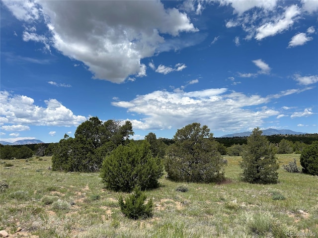 LOT809 Rio, Cucharas Walsenburg, CO 81089 - photo 4