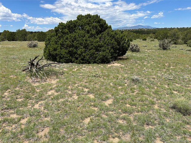 LOT809 Rio, Cucharas Walsenburg, CO 81089 - photo 5