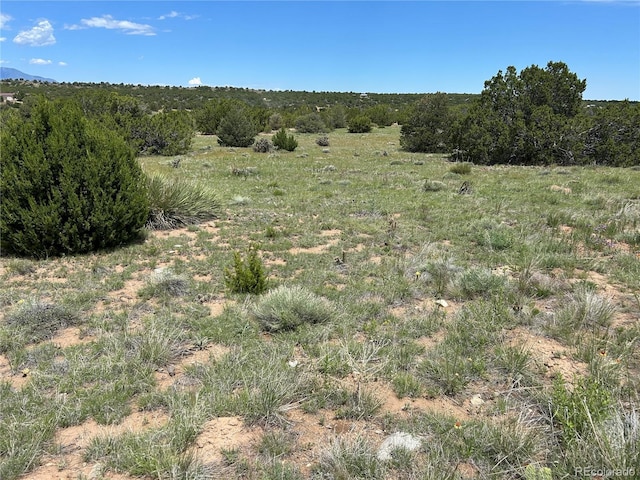 LOT809 Rio, Cucharas Walsenburg, CO 81089 - photo 6
