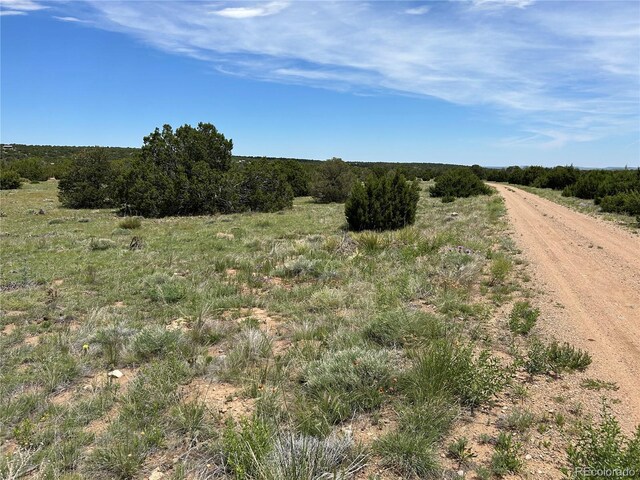 LOT809 Rio, Cucharas Walsenburg, CO 81089 - photo 7