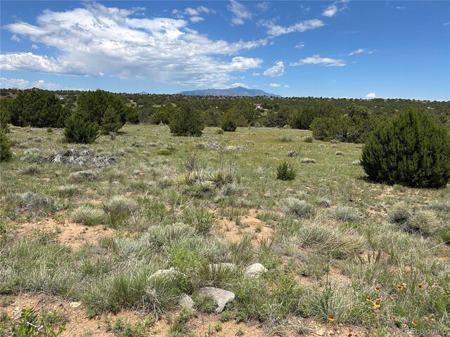 LOT809 Rio, Cucharas Walsenburg, CO 81089 - photo 10