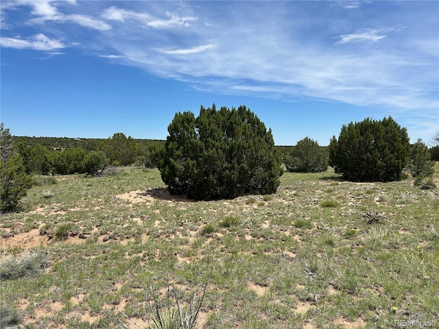 LOT809 Rio, Cucharas Walsenburg, CO 81089 - photo 11