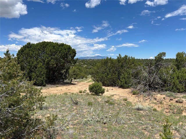 LOT809 Rio, Cucharas Walsenburg, CO 81089 - photo 12
