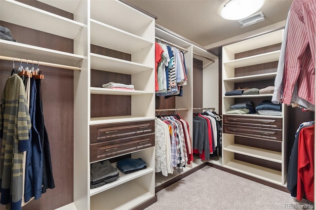 spacious closet with light carpet