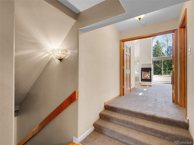 11768 Black Hawk Dr, Conifer, CO 80433 - photo 18