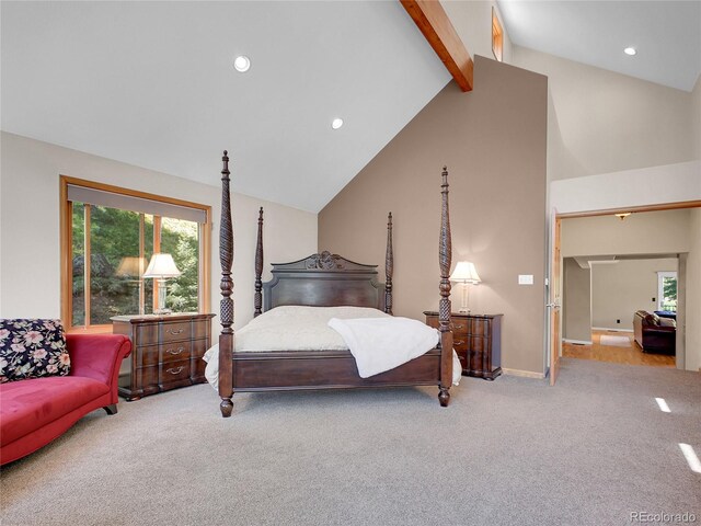 11768 Black Hawk Dr, Conifer, CO 80433 - photo 21