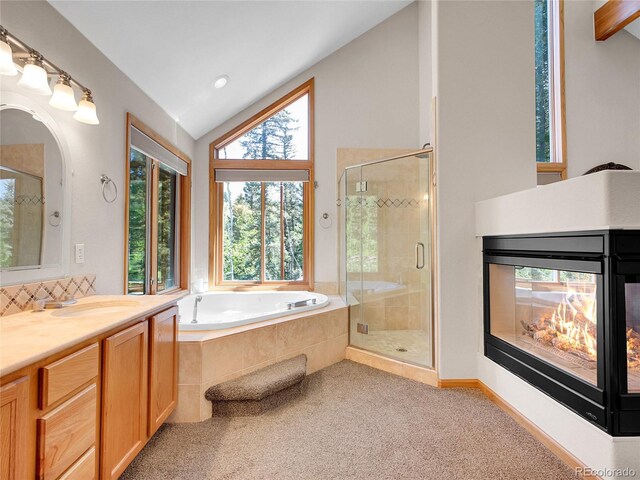 11768 Black Hawk Dr, Conifer, CO 80433 - photo 22