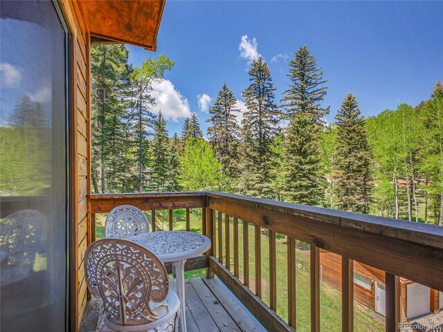 11768 Black Hawk Dr, Conifer, CO 80433 - photo 28