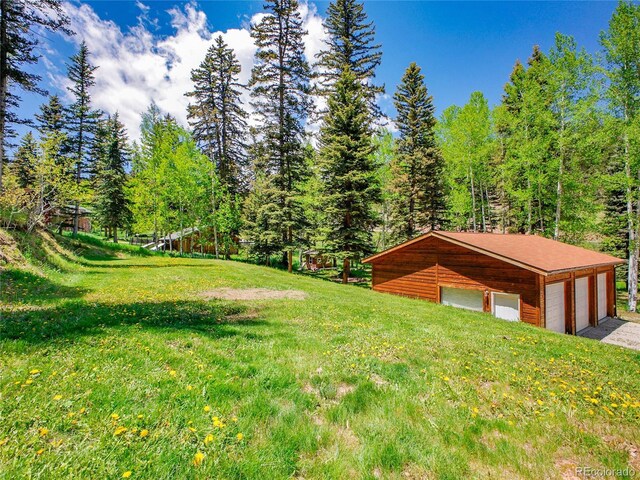11768 Black Hawk Dr, Conifer, CO 80433 - photo 41