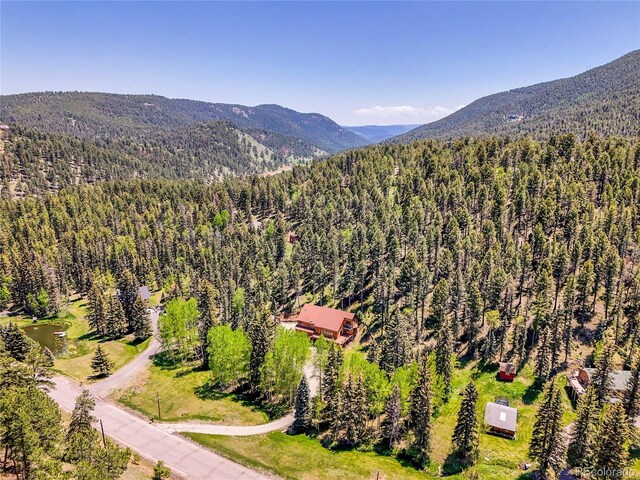 11768 Black Hawk Dr, Conifer, CO 80433 - photo 43