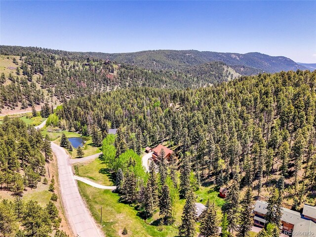 11768 Black Hawk Dr, Conifer, CO 80433 - photo 44
