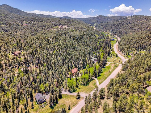 11768 Black Hawk Dr, Conifer, CO 80433 - photo 45