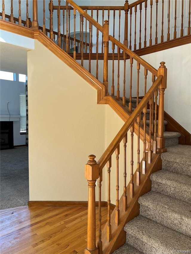 stairway featuring wood-type flooring