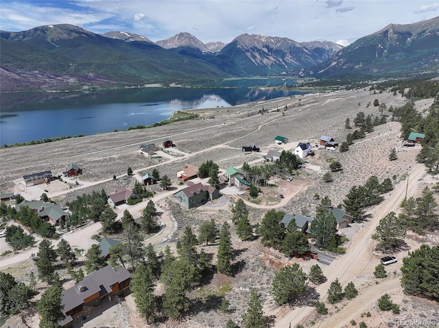350 La Plata Peak Dr, Twin Lakes, CO 81251 - photo 4