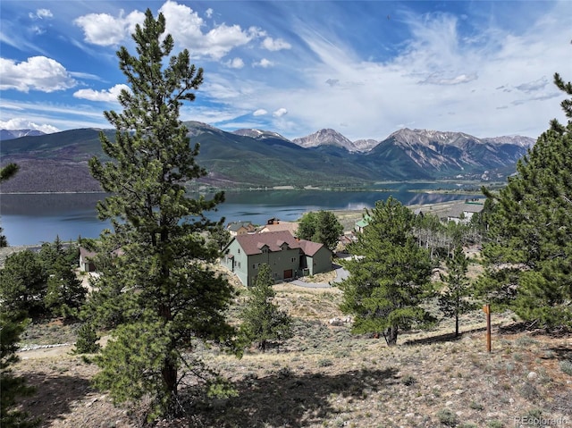 350 La Plata Peak Dr, Twin Lakes, CO 81251 - photo 8