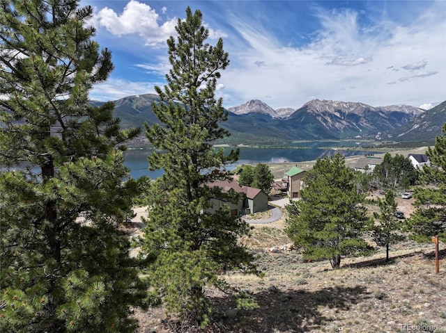 350 La Plata Peak Dr, Twin Lakes, CO 81251 - photo 11
