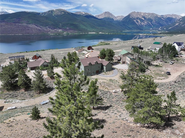 350 La Plata Peak Dr, Twin Lakes, CO 81251 - photo 14