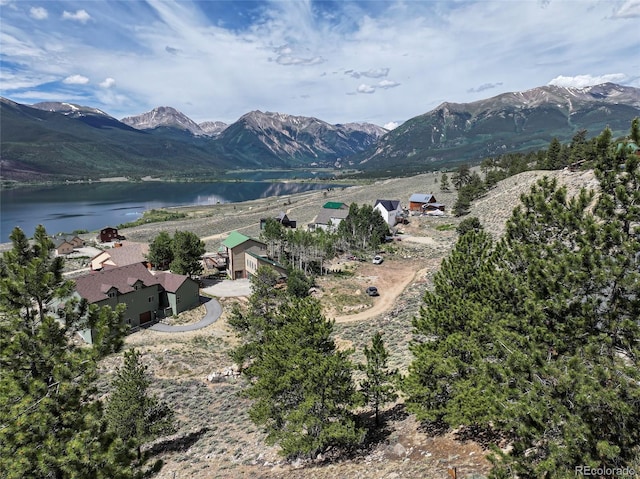 350 La Plata Peak Dr, Twin Lakes, CO 81251 - photo 17
