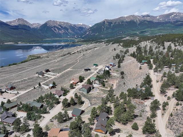 350 La Plata Peak Dr, Twin Lakes, CO 81251 - photo 20